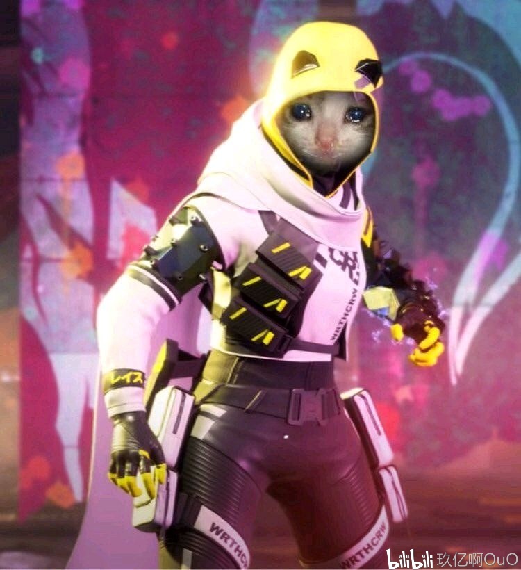 牲了向